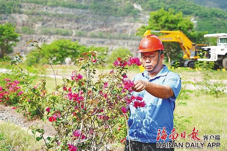 海南这座矿山，为何这么绿？4.jpg